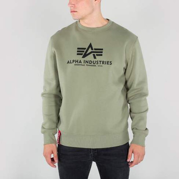 Толстовка Basic Alpha Industries
