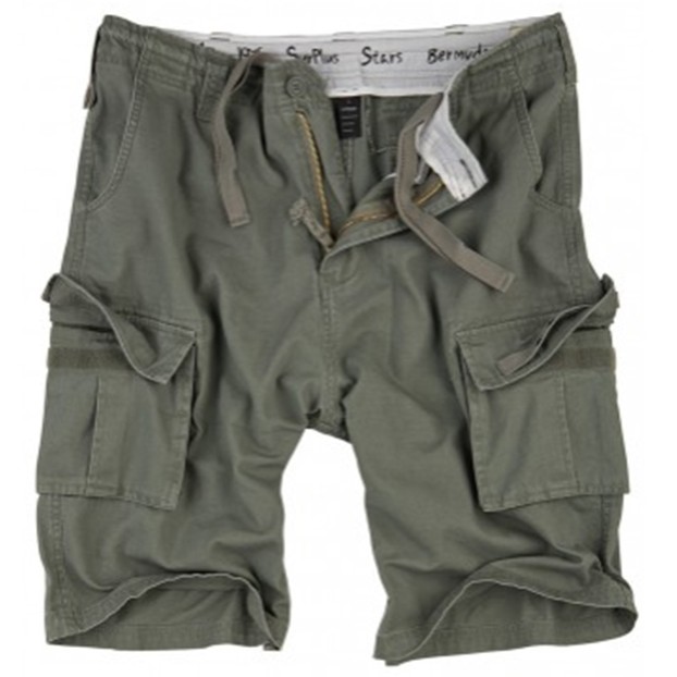 Шорты Stars Bermuda Surplus