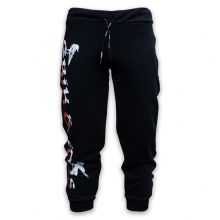  Спортивные штаны Alanda Erik and Sons изображение 1 