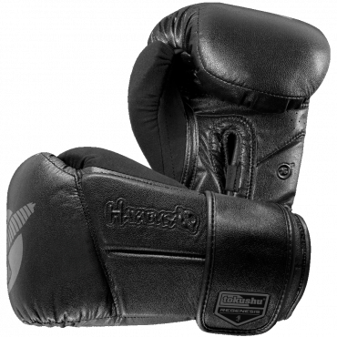  Перчатки боксерские Hayabusa Tokushu® Regenesis 16oz Gloves Black изображение 1 
