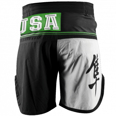  Шорты ММА Hayabusa Flex Factor Training Shorts Green/Black изображение 2 