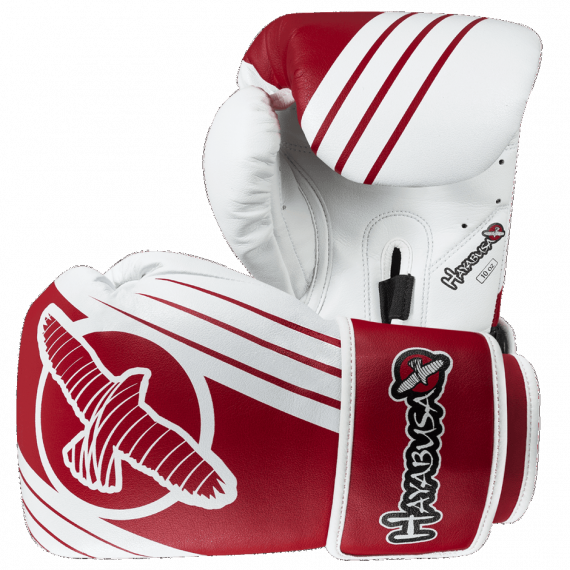 Перчатки боксерские Hayabusa Ikusa Recast 10oz изображение 1 