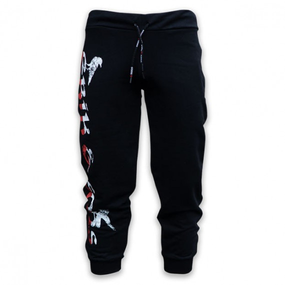  Спортивные штаны Alanda Erik and Sons изображение 1 