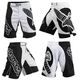  Шорты ММА Hayabusa  Chikara Fight Shorts Black/White изображение 2 