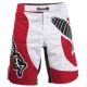  Шорты ММА Hayabusa  Chikara Fight Shorts Red изображение 1 