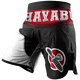  Шорты ММА Hayabusa Flex Factor Training Shorts Red/Black изображение 1 